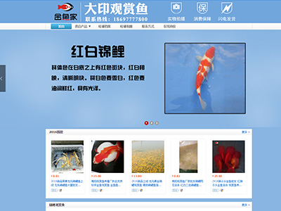 <b>大印觀賞魚</b>