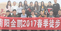 金鵬電商