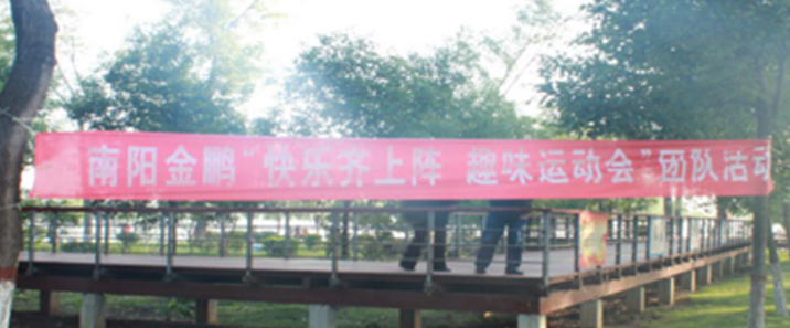 金鵬電商